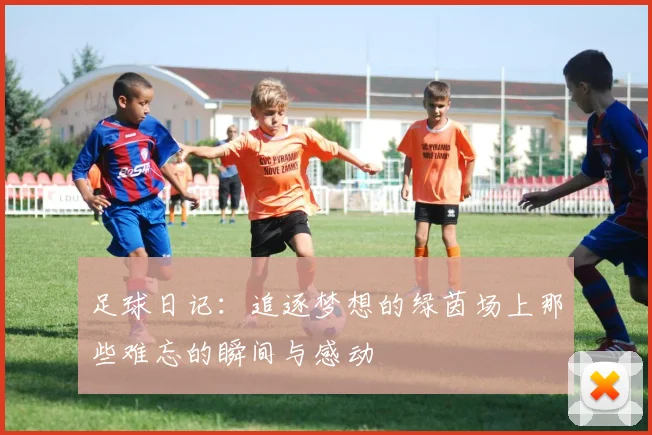 足球日记：追逐梦想的绿茵场上那些难忘的瞬间与感动