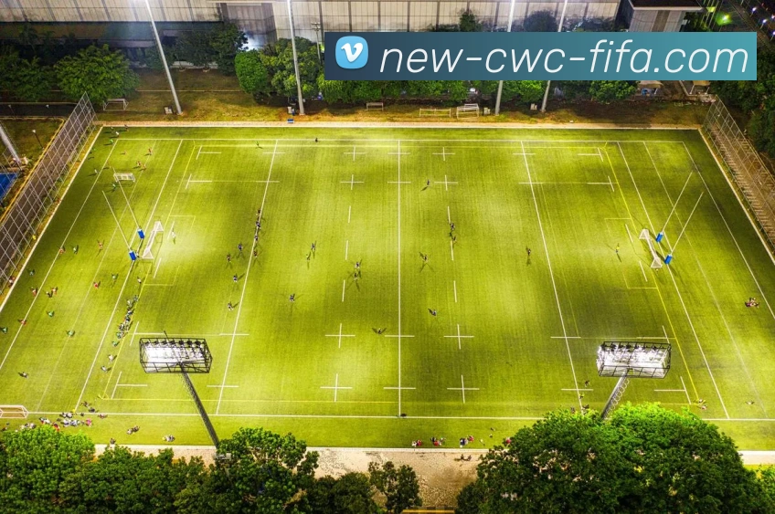 FIFA WORLD CUP平台生态图